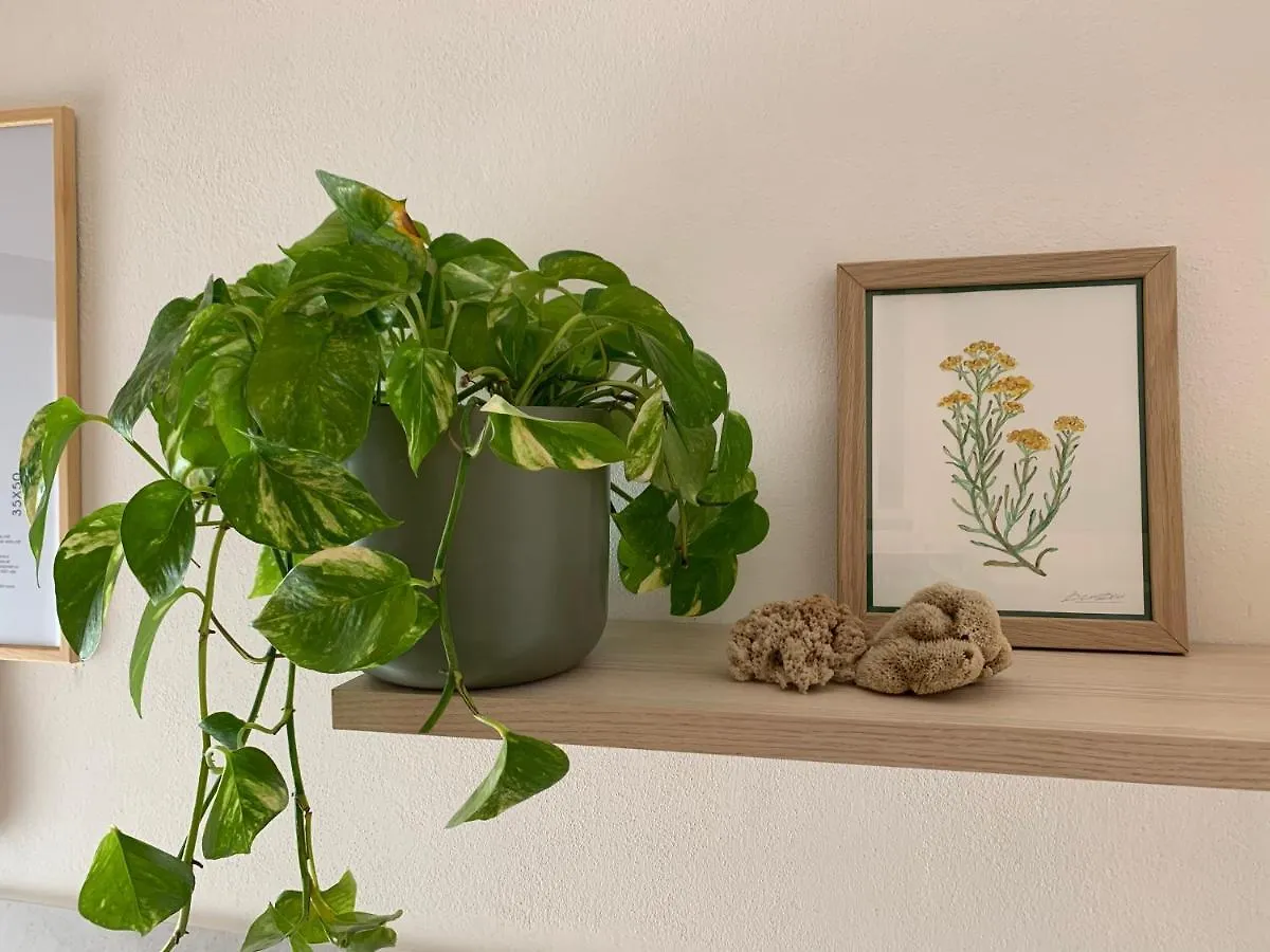 Guest house Elicriso Home Porto Torres